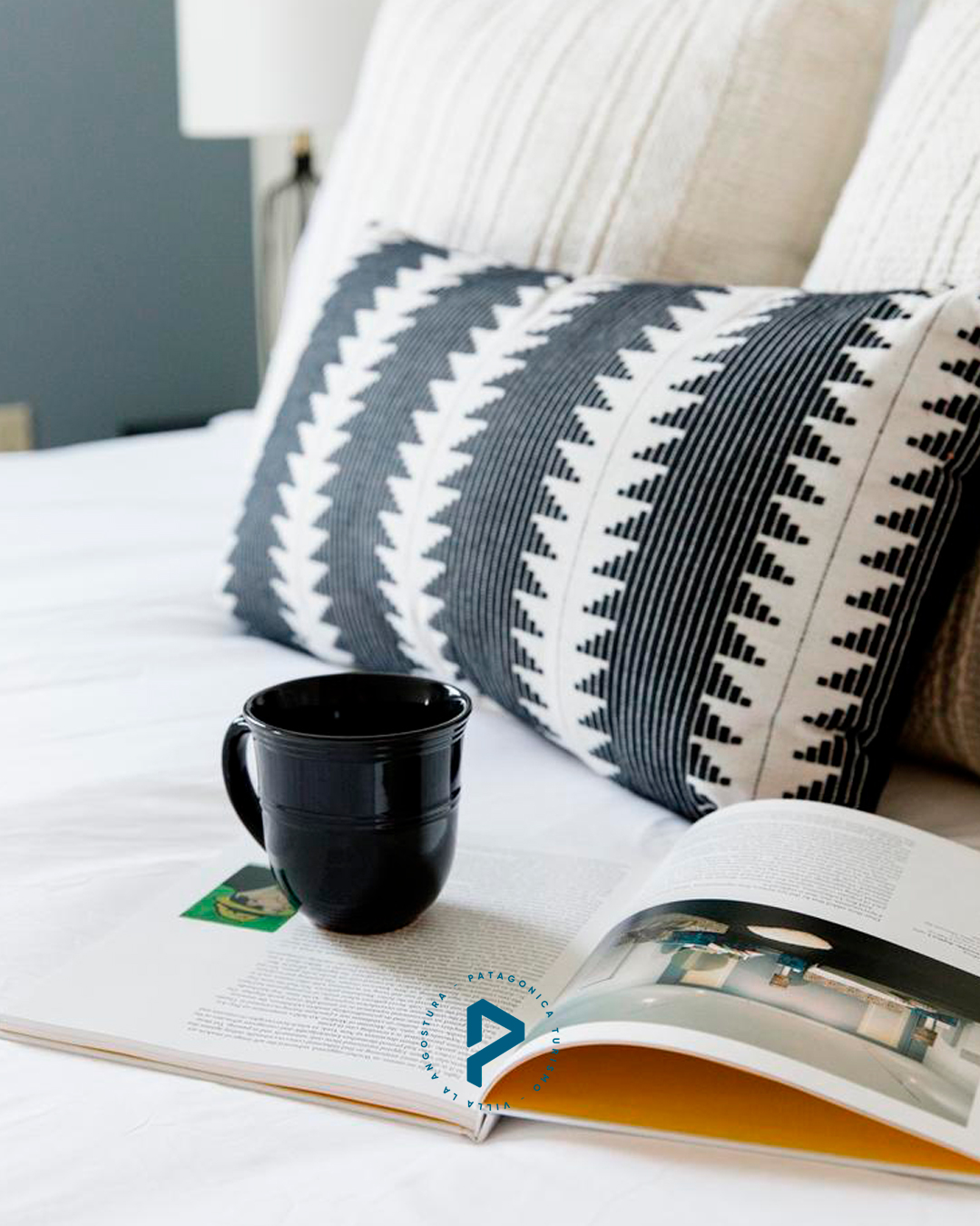 patagonica collection desarrollo web