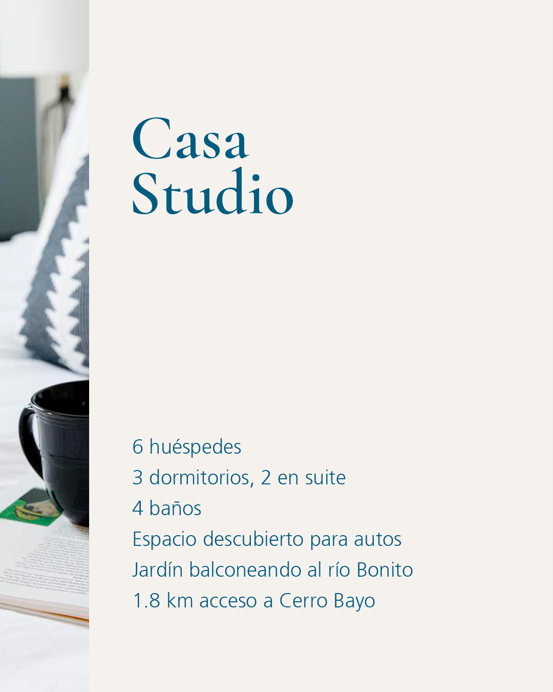 patagonica collection desarrollo web