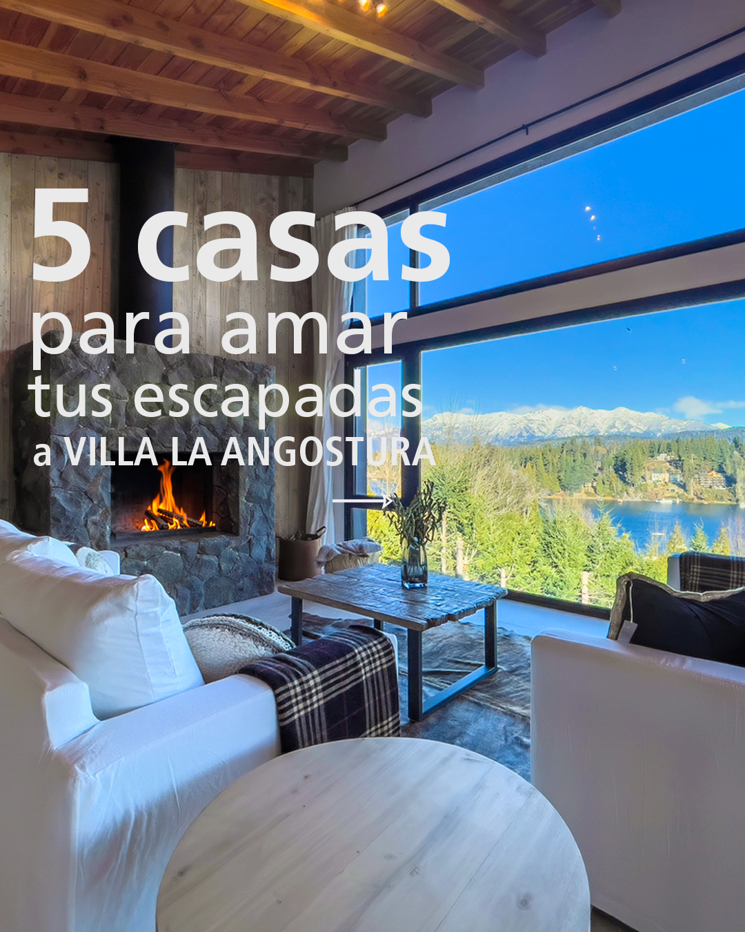 patagonica collection desarrollo web