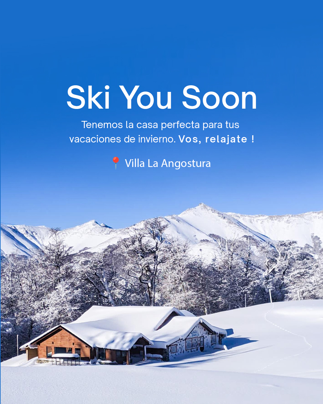 patagonica collection desarrollo web