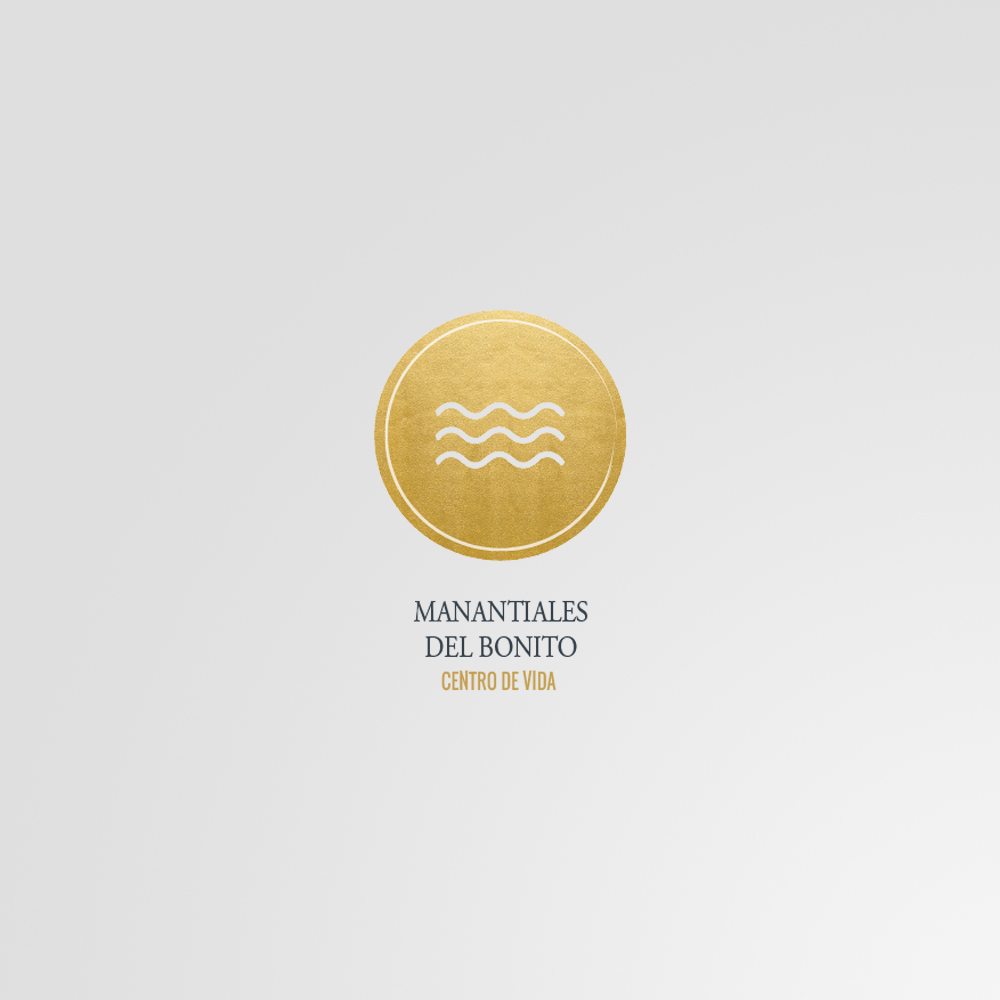 Identidad Corporativa