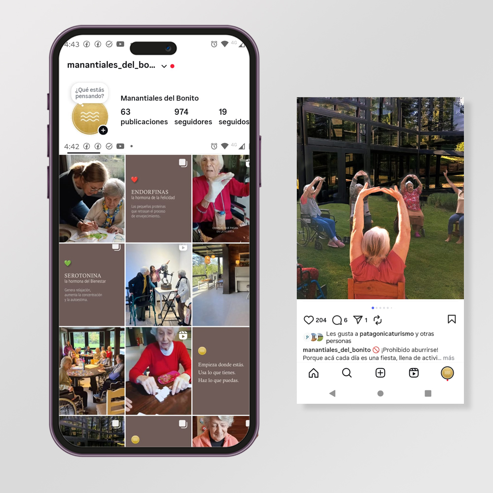 Desarrollamos contenidos