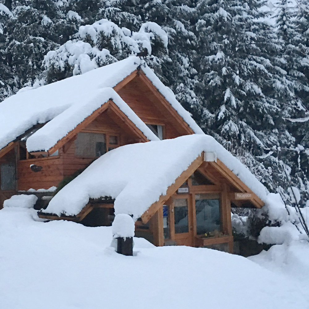 diseño web carrito de compras