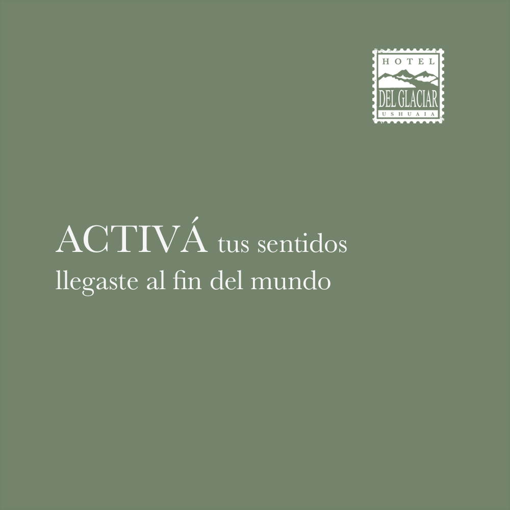 Contenido para redes sociales